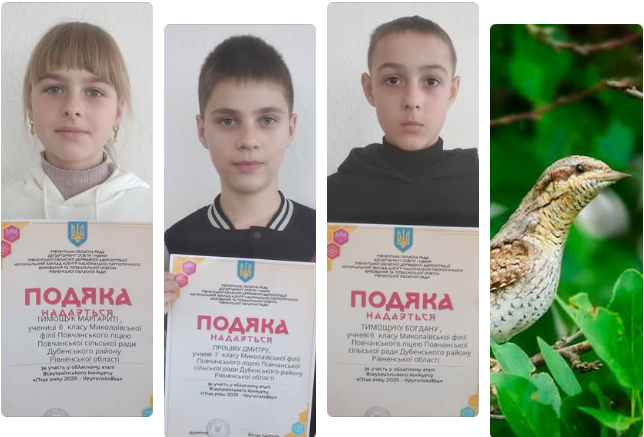 Підсумки обласного етапу Всеукраїнського конкурсу "Птах року 2025 - Крутиголовка"